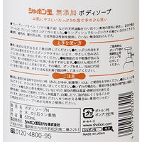 シャボン玉 無添加ボディソープ たっぷり泡 ポンプ 570ml シャボン玉石けん