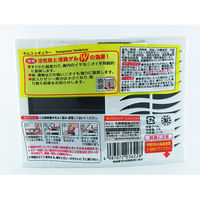 キムコレギュラー 冷蔵庫脱臭剤 冷蔵庫用 消臭剤 効き目約6ヶ月 小林製薬