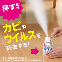 らくハピ お部屋の防カビ剤 カチッとおすだけ 無香料 60ml 1セット（2個） アース製薬