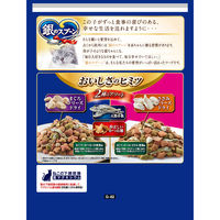 銀のスプーン 贅沢素材バラエティ 全成長段階用 2種のアソート国産 1.0kg 3袋 キャットフード ドライ