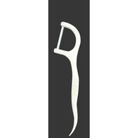 デンタルプロ FRESH フロスピック 100P 4973227417356 1個