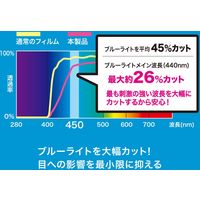 サンワサプライ 第8/7世代iPad10.2インチ用ブルーライトカット強化ガラスフィルム LCD-IPAD102GBC 1枚（直送品）