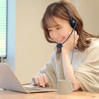 サンワサプライ 4極対応ヘッドセット MM-HS406BK 1個