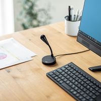 サンワサプライ PCスタンドマイク MM-MCF01BK 1個