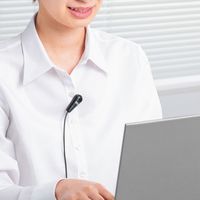 サンワサプライ クリップ付きPCマイク MM-MCF03BK 1個