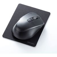 サンワサプライ ずれないマウスパッド MPD-NS6BK-S 1個