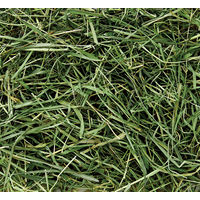 ミニマルランド バニーグレードチモシー ソフト 500g 1袋 マルカン