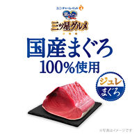 銀のスプーン 三ツ星グルメ 国産まぐろ100%ジュレまぐろ 35g 12袋 キャットフード ウェット パウチ