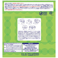 デオクリーン ノンアルコール除菌 ウェットティッシュ 詰め替え 60枚 3個