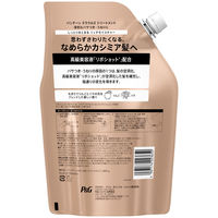 パンテーン ミラクルズ リッチモイスチャー トリートメント 詰め替え 特大サイズ 880g 2個 P＆G