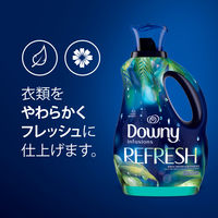 ダウニー（Downy） インフュージョン リフレッシュ（バーチウォーター＆ボタニカル）1.66L 柔軟剤 P&G