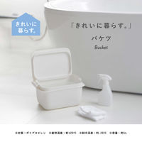 バケツ フタ付 角型 コンパクト 目盛り付き 容量5L グッドデザイン賞 きれいに暮らす。ホワイト 1個 マーナ