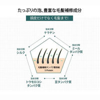 moremo モレモ スカルプシャンプー クリア＆クール ポンプ 500mL 4個 韓国コスメ 韓国シャンプー ワンダーライン