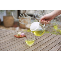 HARIO （ハリオ） 茶茶ポット きらら ホワイト 360ml CHY-36-W 1個