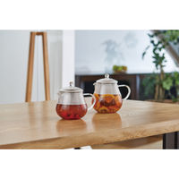 HARIO （ハリオ） リーフティーポット クリア 450ml CHC-45T 1個