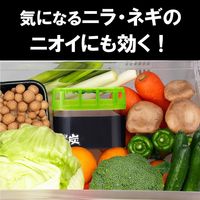 脱臭炭 冷蔵庫 野菜室用 脱臭剤 置き型 ニラ・ネギの臭いも効く 1個 エステー
