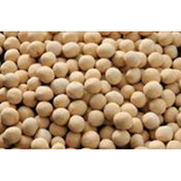 焼きいも鍋用 セラミックボール 500g イシガキ