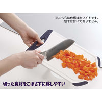 ネオフラム 抗菌カッティングボード まな板 FCM マーブル 1個 ベストコ