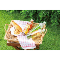 HARIO（ハリオ） フィルターインボトル・ポータブル 400ml スモーキーピンク FIBP-40-SPR 1本 冷水筒 水出し