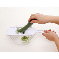 セレクト100 細せん切り器 スライサー 貝印 KAI DH3004