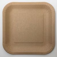 アースカラーペーパープレート スクエア L 23cm 1セット（8個入×4袋） サンナップ