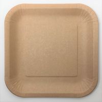 アースカラーペーパープレート スクエア M 18.5cm 1セット（10個入×4袋） サンナップ