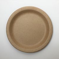 アースカラーペーパープレート ラウンド 23cm 1セット（8個入×2袋） サンナップ