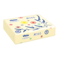 ティッシュペーパー　保湿　110組　クリネックスローションティシュー　ソフトパック　しっとりなめらかコンパクト　1箱（24パック）　日本製紙クレシア