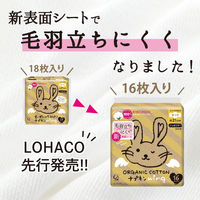 【生理用品】 ナプキン 昼用 羽つき 21cm オーガニックコットンナプキン ノンポリマー 1セット（16枚×5個） コットン・ラボ