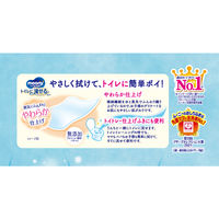 ムーニー おしりふき トイレに流せるタイプ やわらか素材 詰め替え 1パック(50枚入×3個) ユニ・チャーム