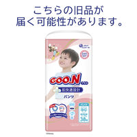 グーンプラス おむつ パンツ やわらかタッチ BIG ビッグ（12～20kg） 1セット（38枚入×2パック）男女共用 大王製紙