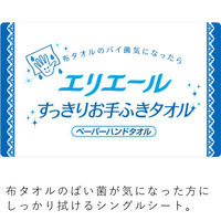 ペーパータオル 大王製紙 エリエール すっきりお手ふきタオル S100枚