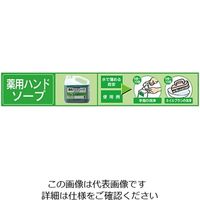 大一産業 ファースト・除菌ハンドソープ 5kg 61-3814-89 1本（直送品）