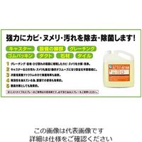 大一産業 ファースト・クローリンクリーナー 4kg 61-3815-46 1本（直送品）