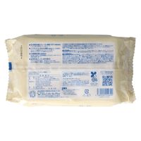 Life-do.Plus 地球おもいキッチンシート20枚 4589506154692 1個(20枚)（直送品）