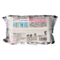 Life-do.Plus リファイン高濃度アルコール45枚 4589506155224 1個(45枚)（直送品）