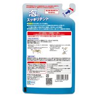 【入れ歯洗浄剤】 義歯洗浄 ライオンケミカル 泡のスッキリデントスプレー 詰め替え用 1個(270ML)（直送品）