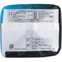 王子ネピア ネピアB-lockインナーシート60 4901121658759 1個(20枚)（直送品）