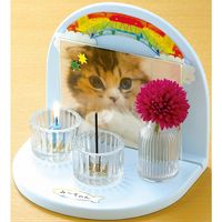 カメヤマ 虹のかなた　メモリアルステージ空色 4901435211497 1個(958G)（直送品）