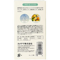 カメヤマ お香のようなお線香　サボン＆シトラス 4901435215136 1個(50G)（直送品）