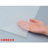 日本サニパック Ｒ４８　プロシリーズ４５Ｌ　１０入り　半透明 R48 1個(10枚)（直送品）