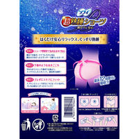 【生理用品】 ユニ・チャーム ソフィ超熟睡ショーツ ML 4903111370641 1個(2枚)（直送品）
