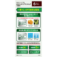 ダリヤ サロンドプロ EX　メンズヘアマニキュア（白髪用） 6　ダークブラウン 4904651182930 1個（直送品）