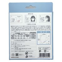 富士 レイヤースタイルマスク ホワイト 4944109316524 1個(30枚)（直送品）