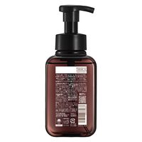 サラヤ プライムフォーム フレッシュシトラス 本体 500mL 4973512238963 1個(500ML)（直送品）