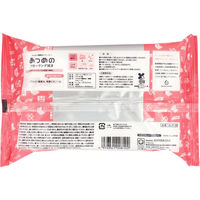 服部製紙 ＡＬＰー２８　あつめのフローリング拭き 4976861008102 1個(20枚)（直送品）