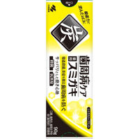 小林製薬 歯周病ケアスミガキ 4987072095836 1個(90G)（直送品）