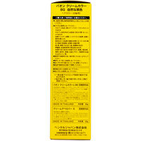 ヘンケルジャパン パオンクリームカラー 8G 4987234130405 1個(8G)（直送品）