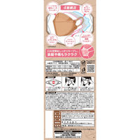 興和 三次元ダイヤモンドマスク プラチナシリーズ フリーサイズ シナモン 20枚 4987973220825 1個(20枚)（直送品）