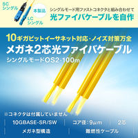 サンワサプライ  メガネ2芯光ファイバケーブルのみ100m（シングルモードOS2） HKB-M2OS2-CB100（直送品）